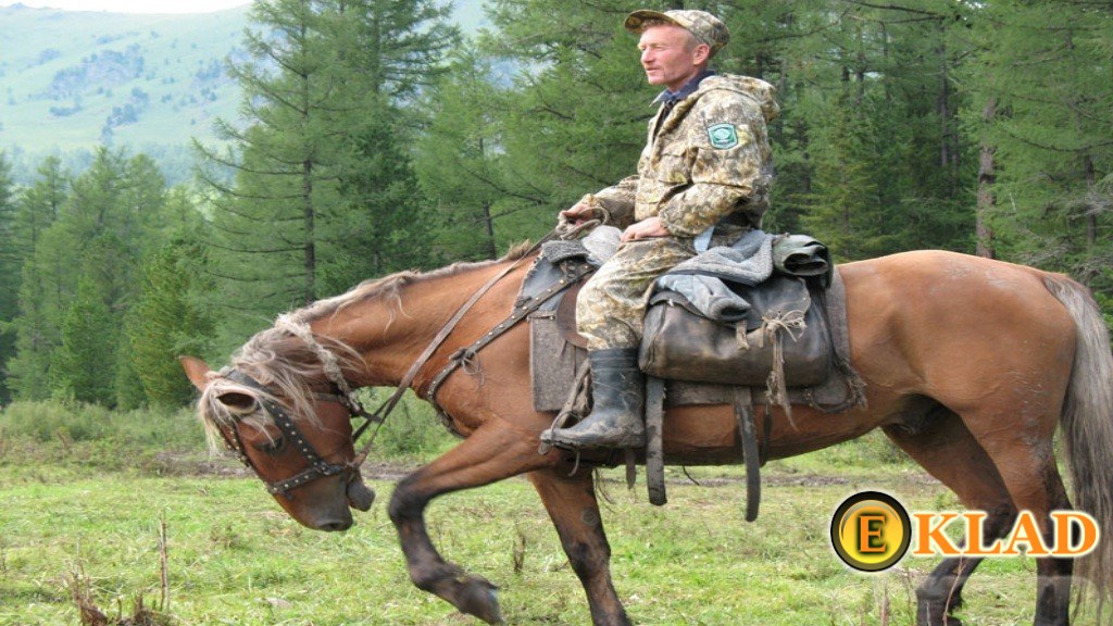 Как выяснилось, рядом в деревне, проживает егерь с такой фамилией